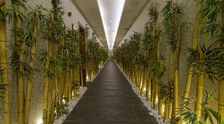 Çam Hotel Thermal Resort & Spa Convention Center