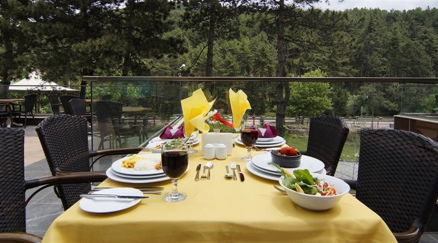 Çam Hotel Thermal Resort & Spa Convention Center