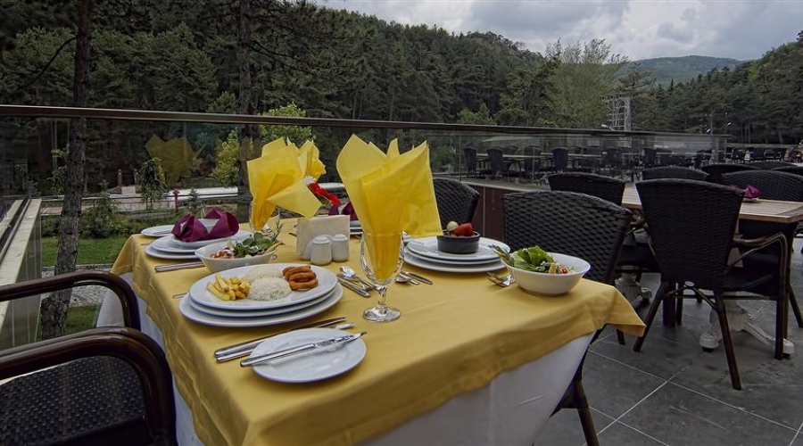 Çam Hotel Thermal Resort & Spa Convention Center