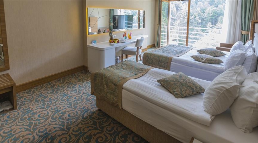 Çam Hotel Thermal Resort & Spa Convention Center