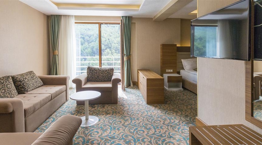 Çam Hotel Thermal Resort & Spa Convention Center